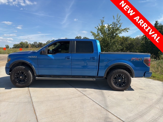 2014 Ford F-150 FX4 photo 6