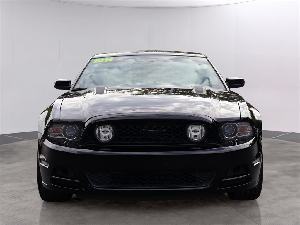 2014 Ford Mustang GT Premium photo 2