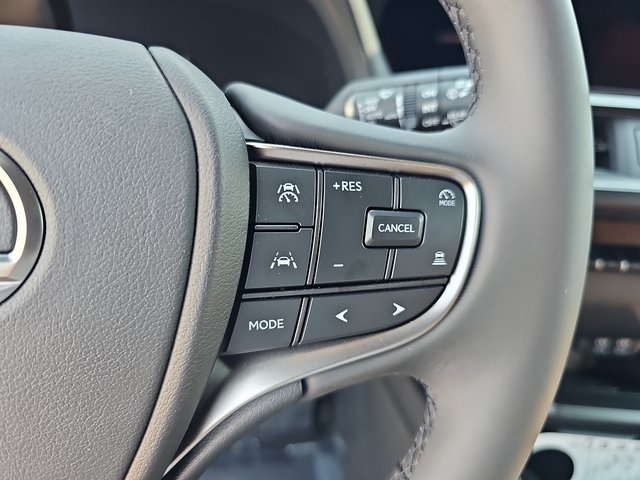 2025 Lexus UX Premium photo 19