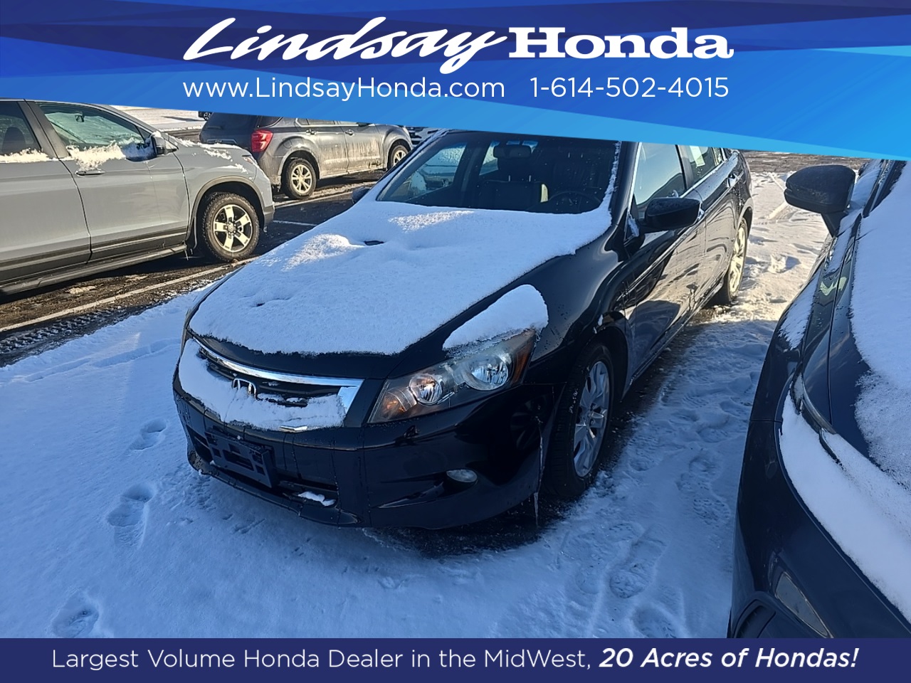 2009 Honda Accord EX-L's photo