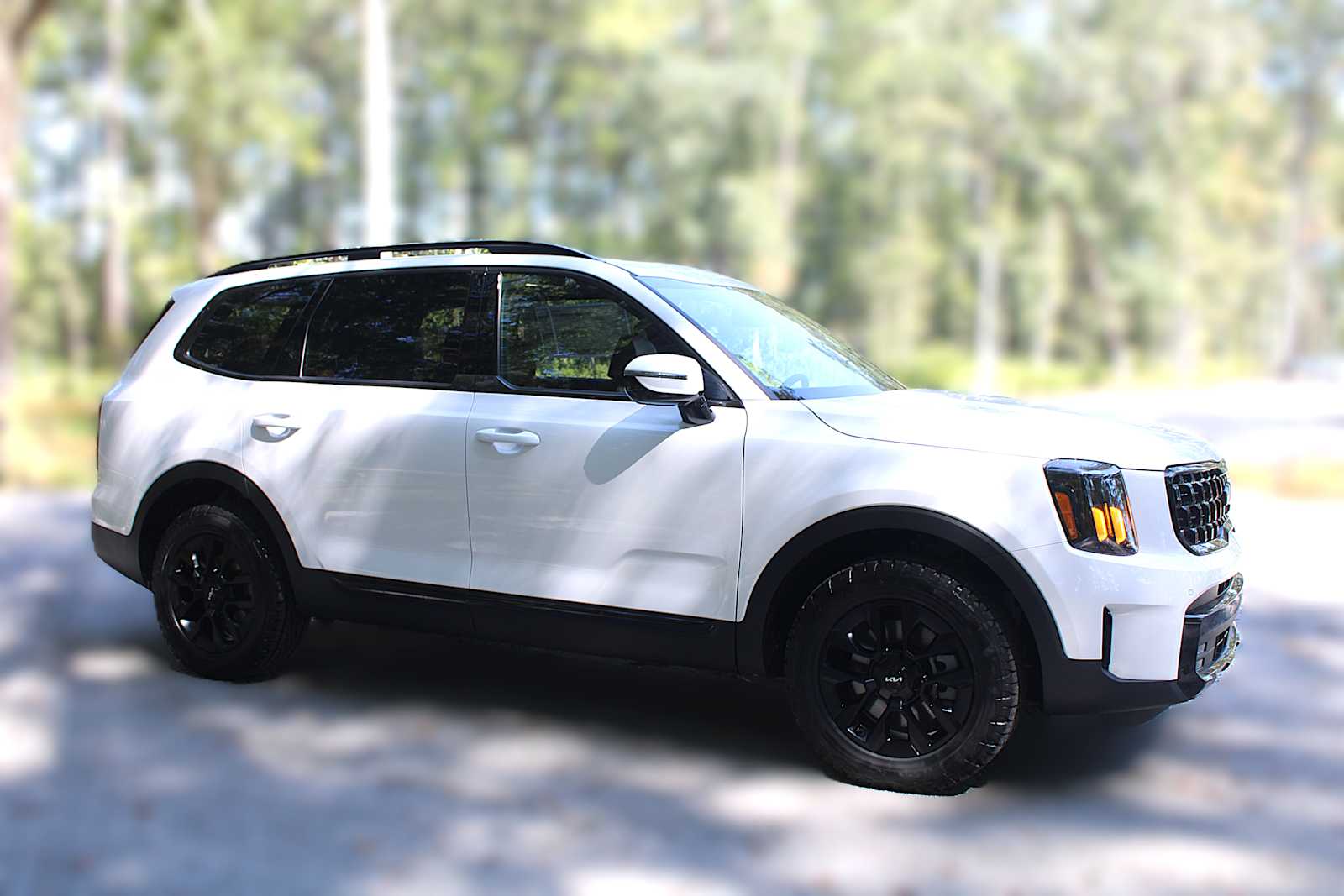 2025 Kia Telluride SX X-Line photo 14