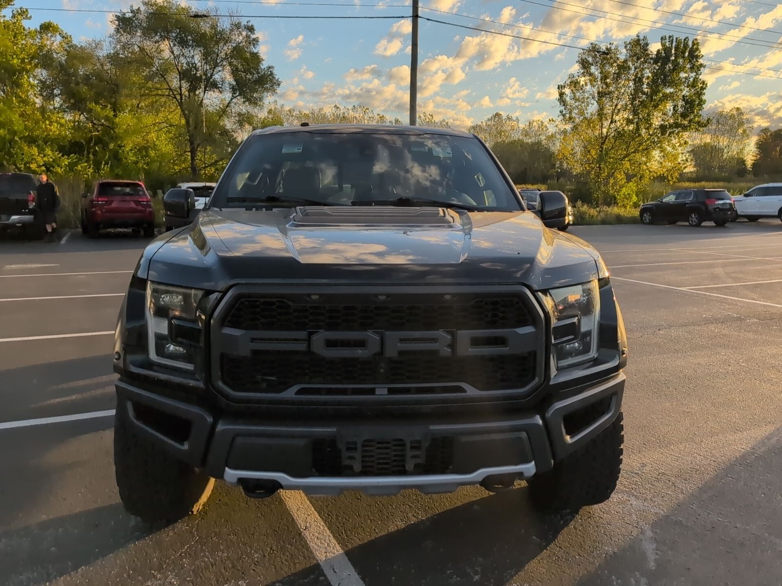 2017 Ford F-150 Raptor photo 8
