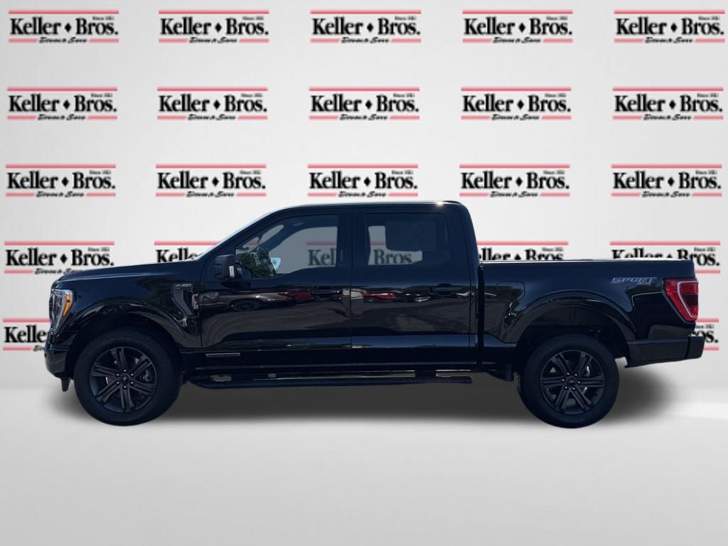 2023 Ford F-150 XLT photo 2