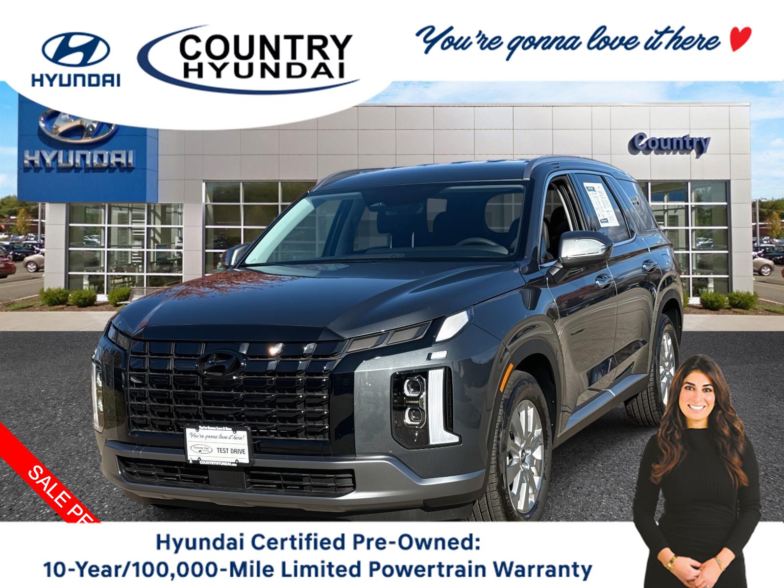 2025 Hyundai Palisade SEL's photo