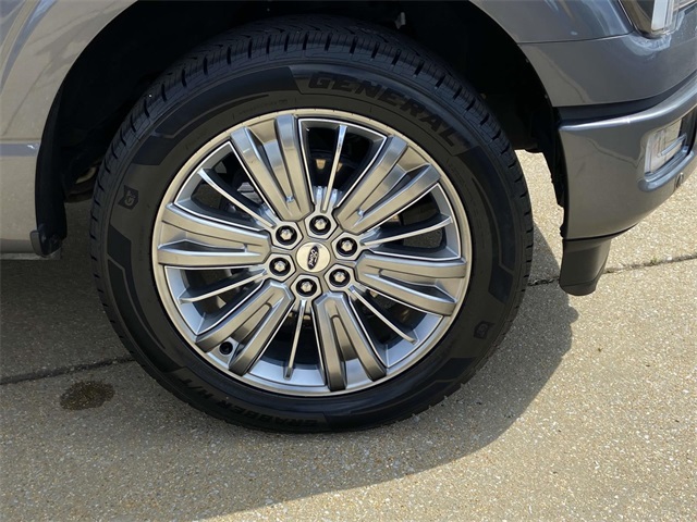 2024 Ford F-150 Platinum photo 6