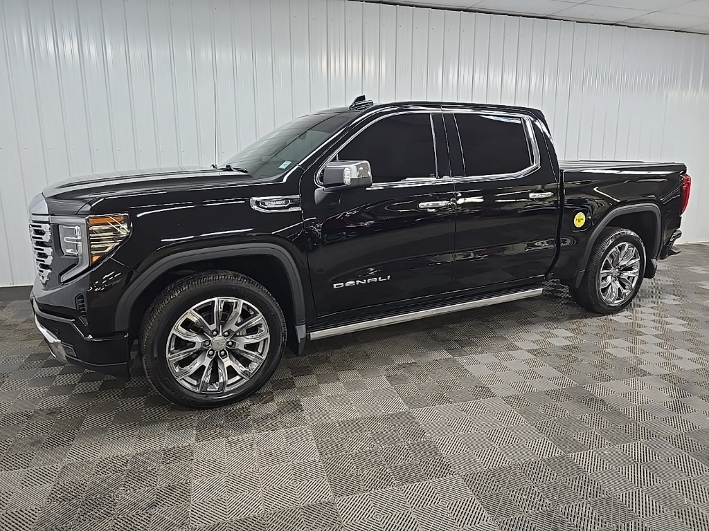 2022 Gmc Sierra 1500 Denali photo 6