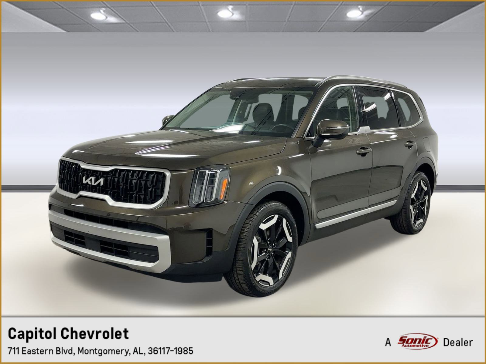 2024 Kia Telluride EX's photo