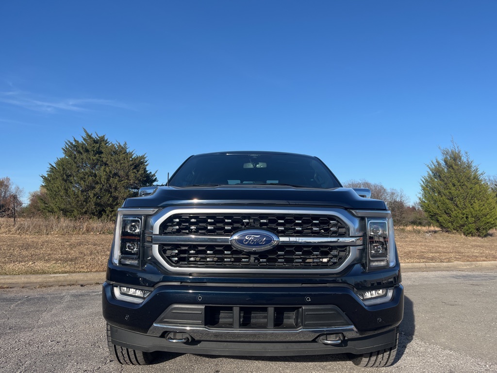 2022 Ford F-150 Platinum photo 2