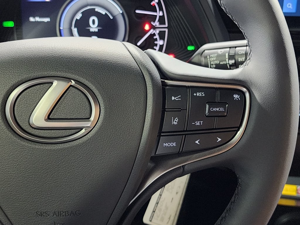 2025 Lexus UX photo 14