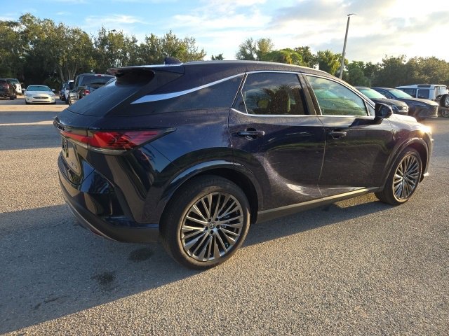 2024 Lexus RX 350 Luxury photo 4