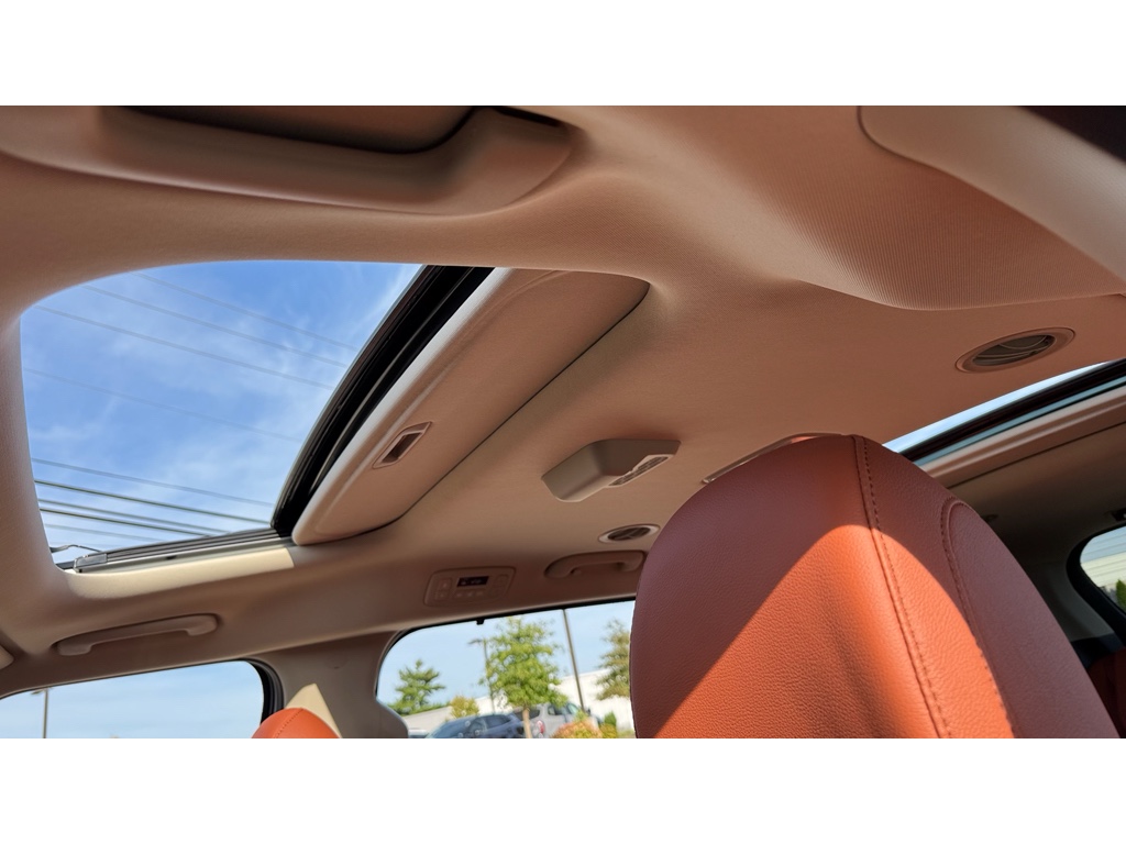 2026 Kia Carnival SX Prestige photo 18