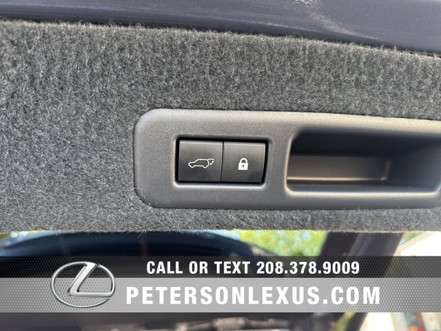 2020 Lexus RX 450h photo 12