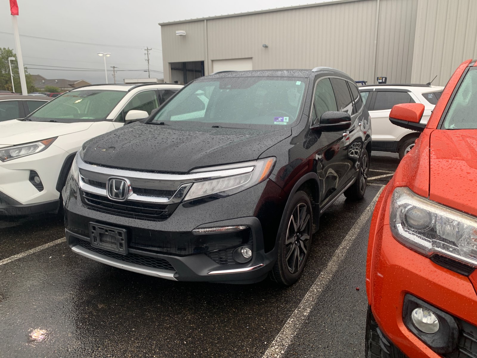 2019 Honda Pilot Elite photo 4