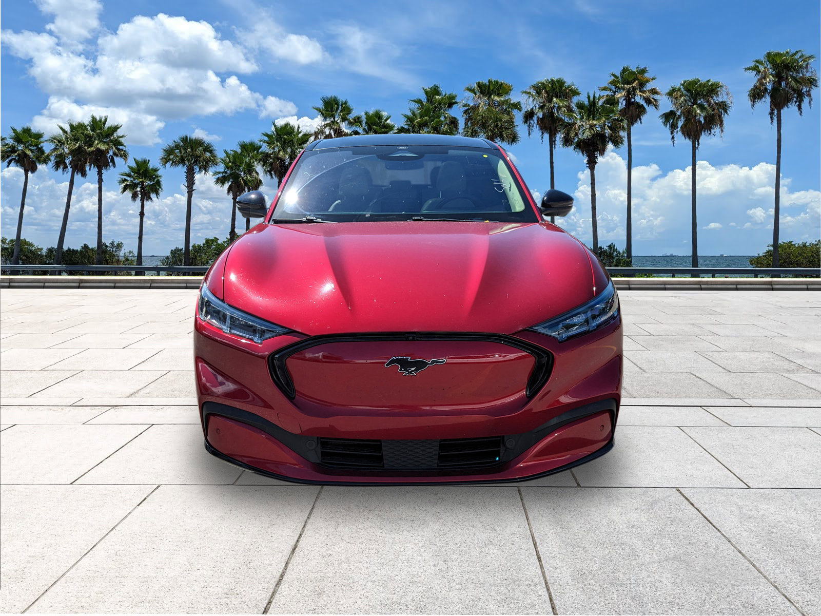 2021 Ford Mustang Mach-E Premium photo 3