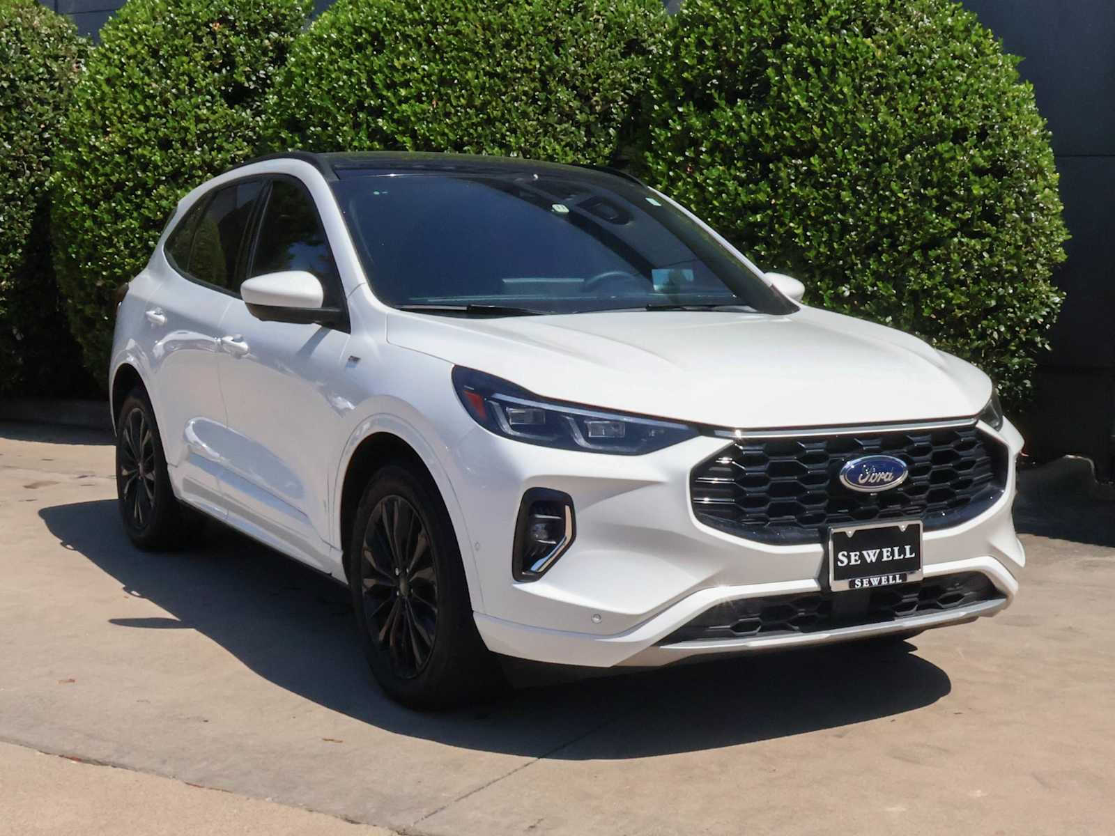 2023 Ford Escape ST-Line Elite photo 3