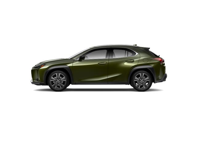 2025 Lexus UX photo 2