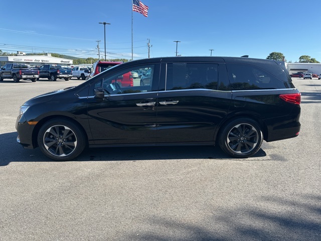 2024 Honda Odyssey Elite photo 4