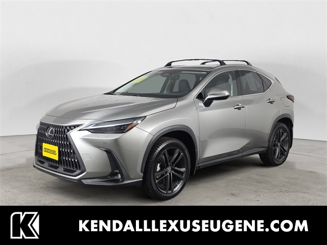 2023 Lexus NX PHEV 450h+'s photo