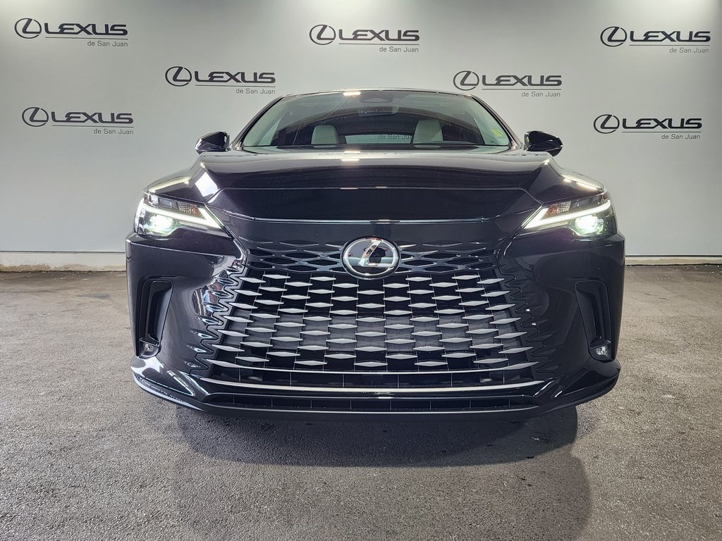 2025 Lexus RX 350 photo 5