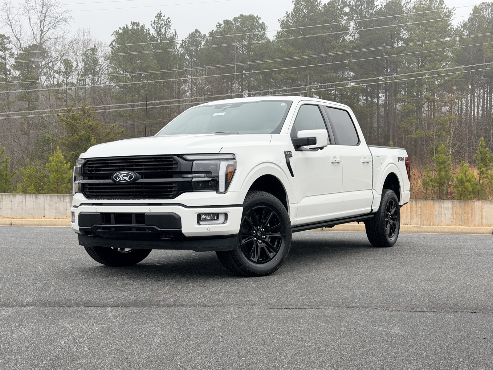 2025 Ford F-150 Platinum's photo