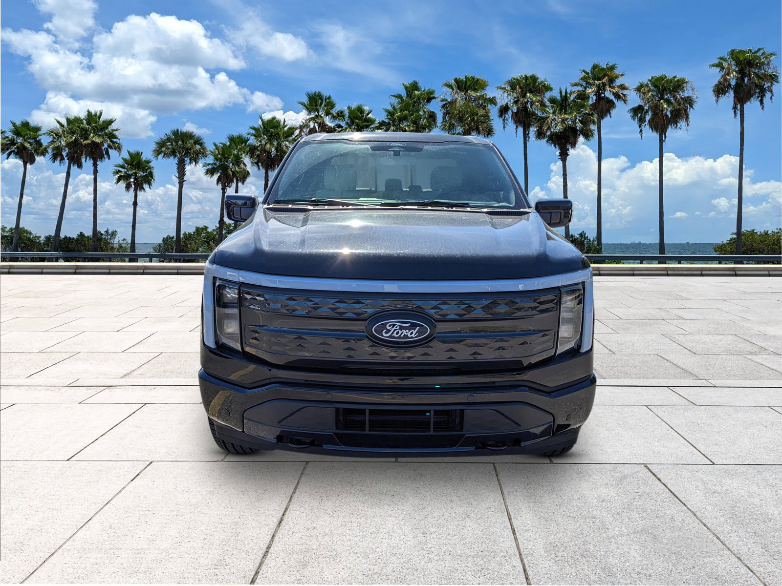2025 Ford F-150 Lightning Platinum photo 2