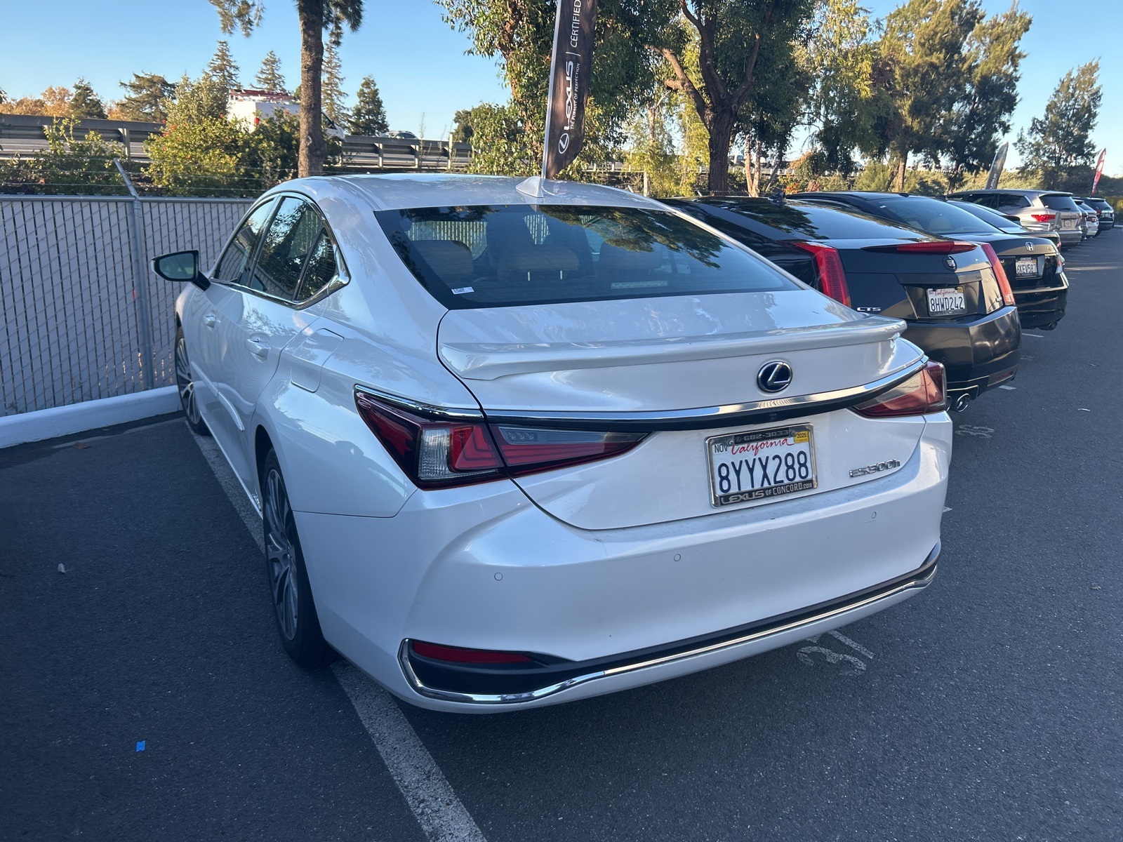 2021 Lexus ES 300h photo 4