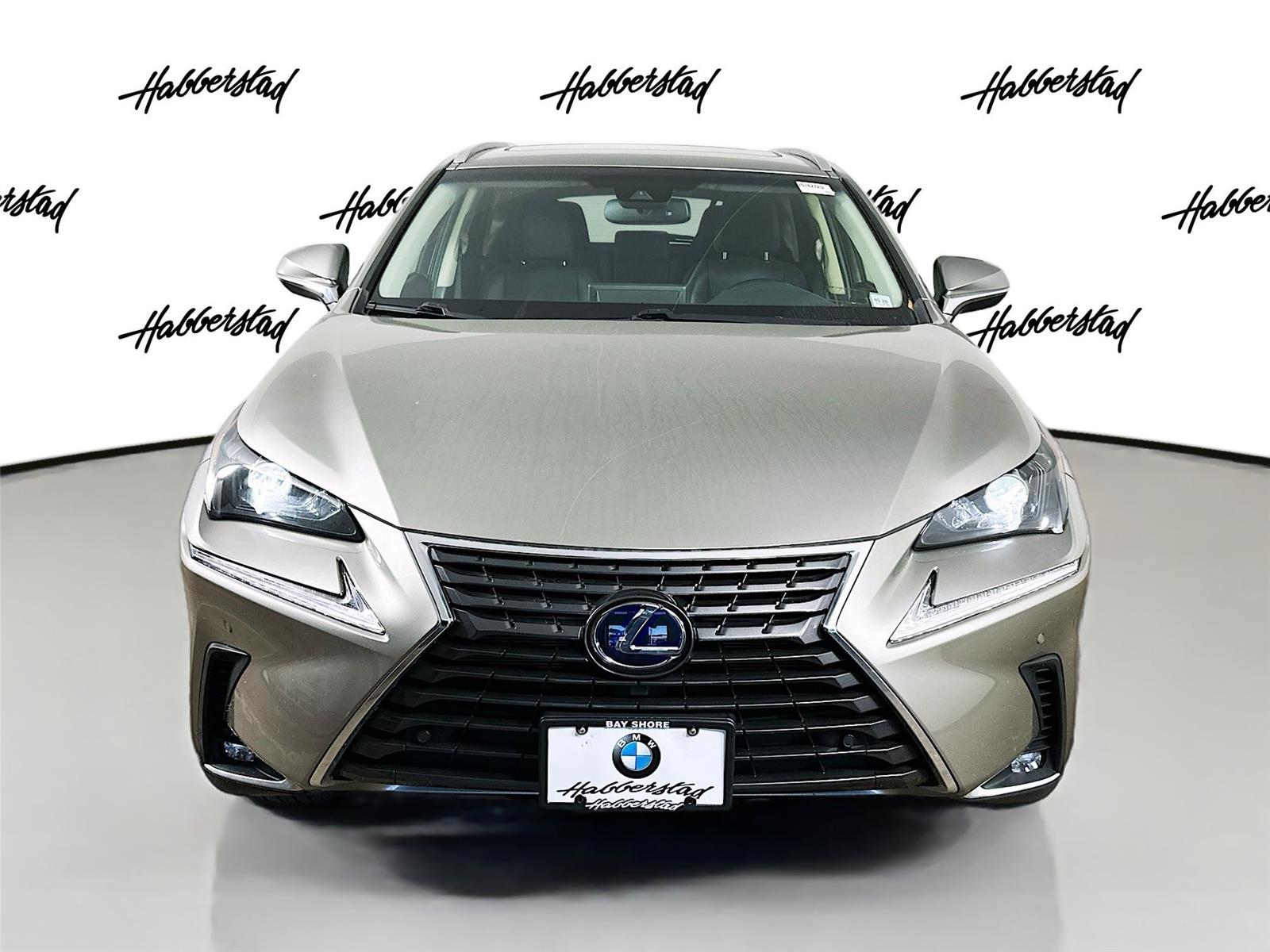 2018 Lexus NX 300h Luxury photo 2