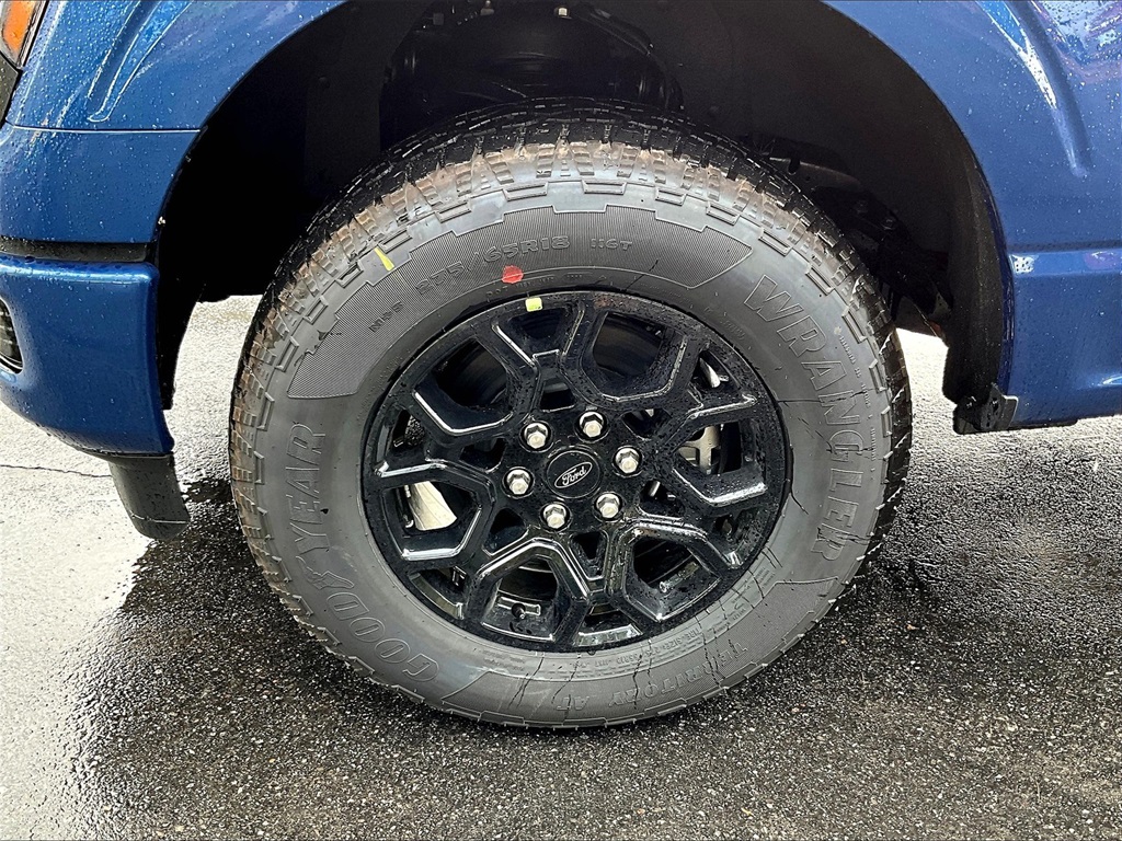 2025 Ford F-150 STX photo 11