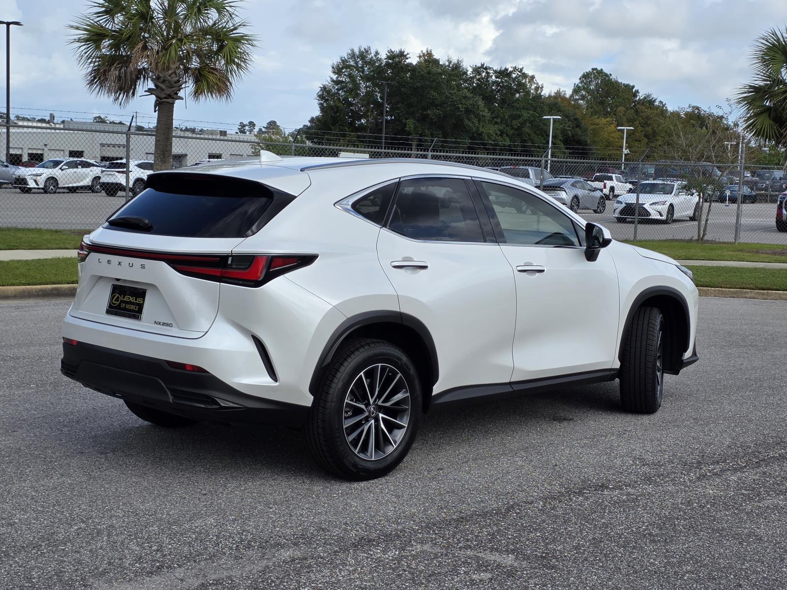 2023 Lexus NX 250 photo 4