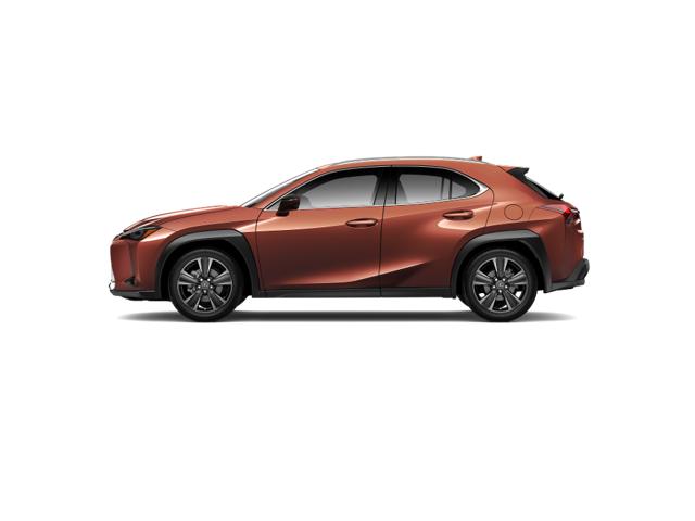 2025 Lexus UX photo 2