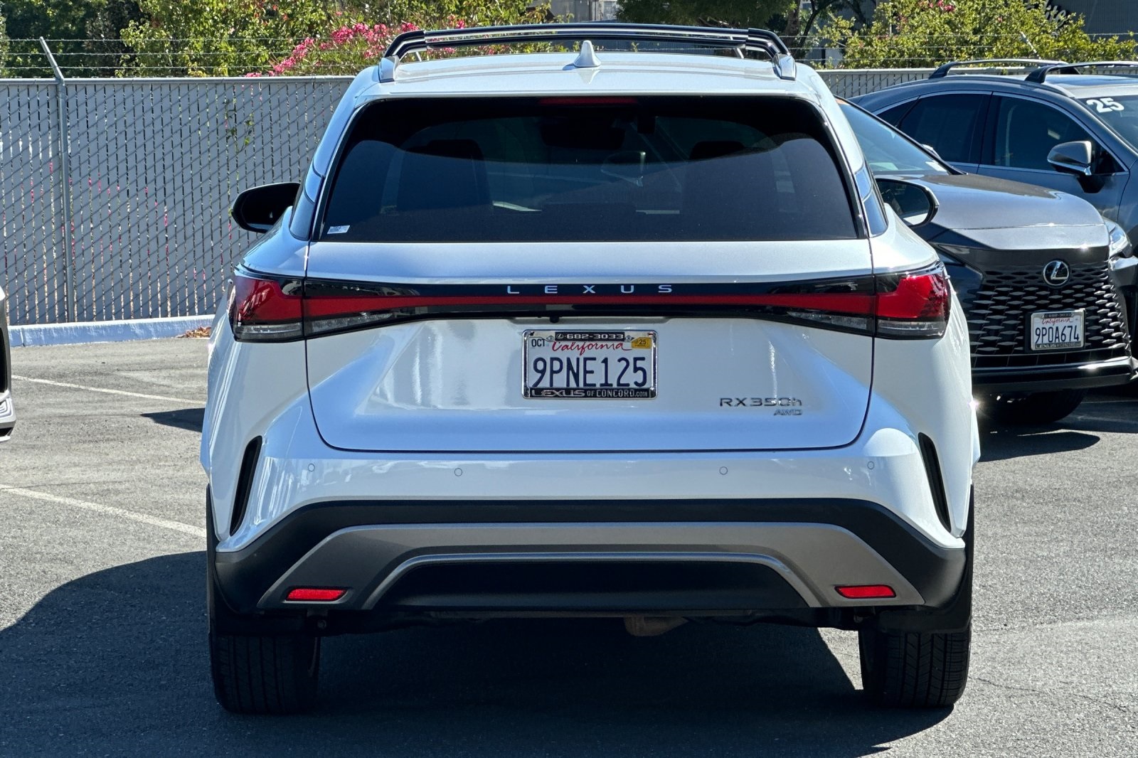 2024 Lexus RX 350h AWD photo 2