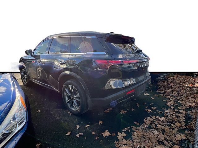 2024 Infiniti QX60 Luxe photo 2