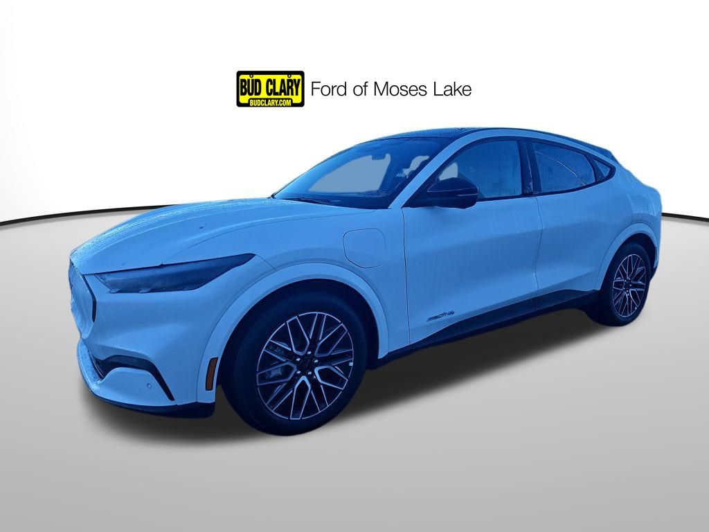 2025 Ford Mustang Mach-E Premium AWD's photo