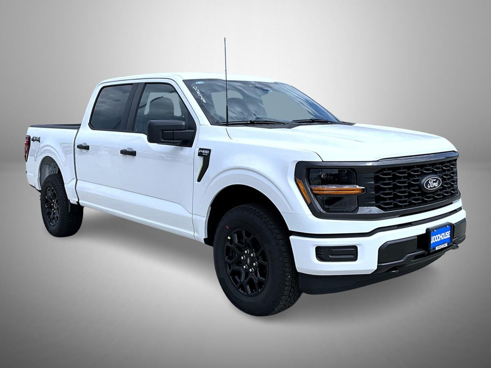 2025 Ford F-150 STX photo 3