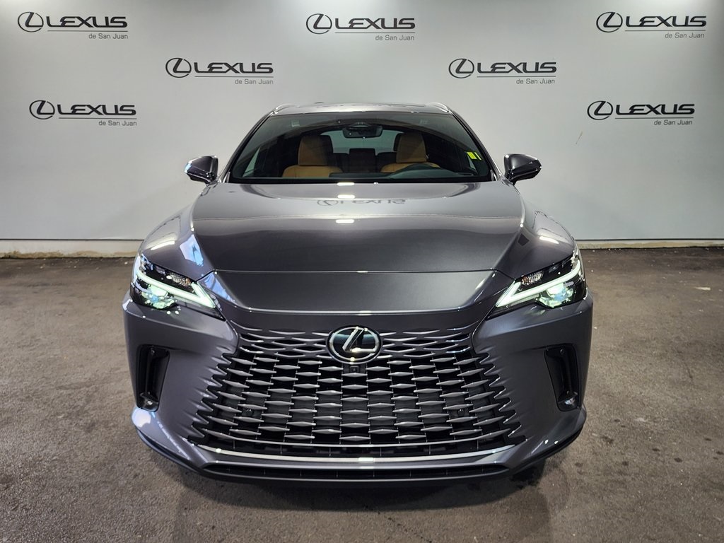 2025 Lexus RX 350 photo 2