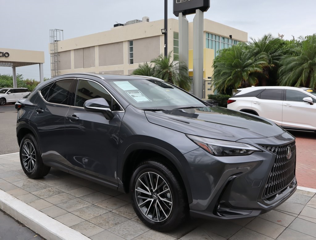 2025 Lexus NX 250 Premium photo 3
