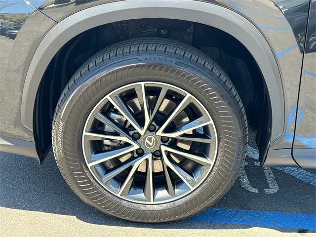 2024 Lexus NX 350h Premium photo 10