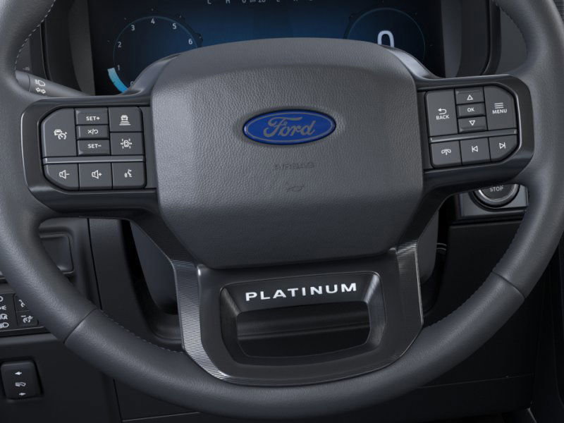 2025 Ford F-150 Platinum photo 8