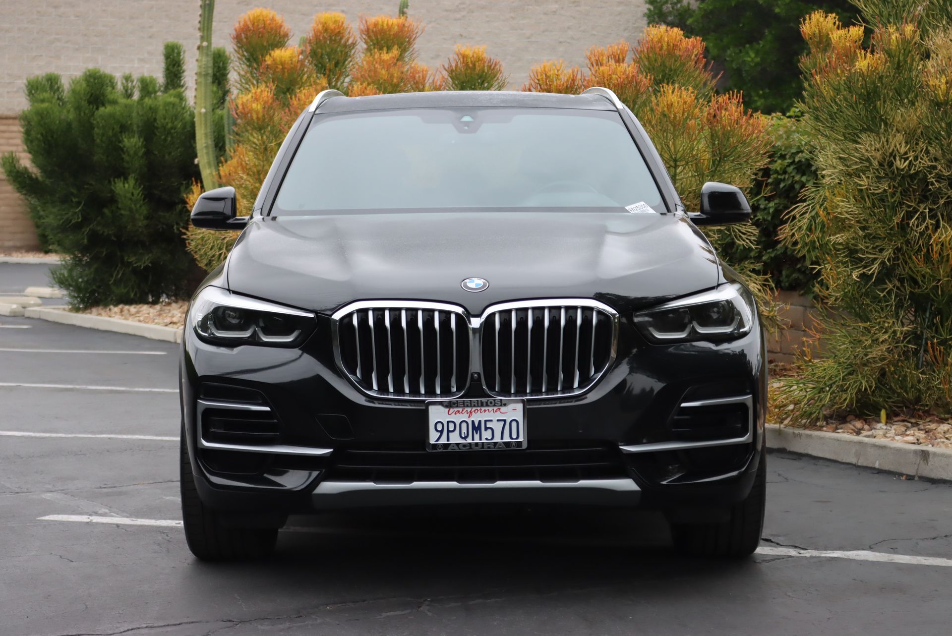 2023 Bmw X5 sDrive40i photo 3