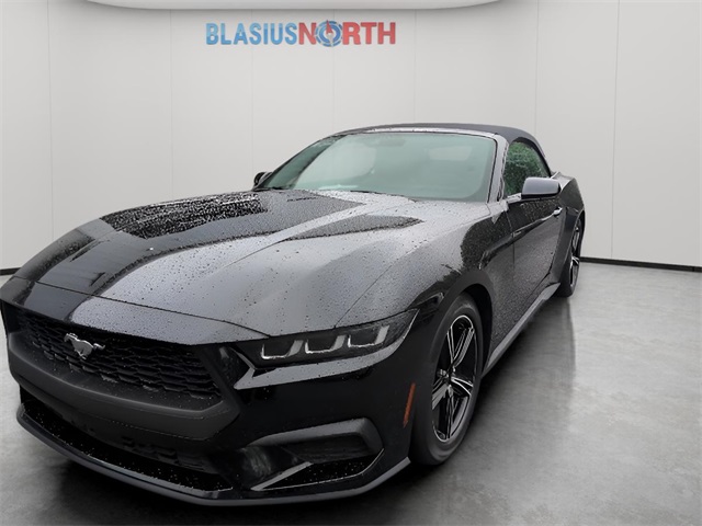 2024 Ford Mustang EcoBoost Premium photo 2