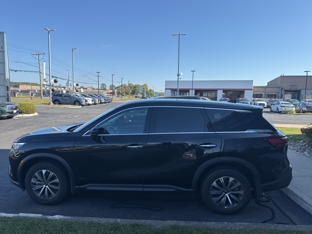 2025 Infiniti QX60 Pure AWD photo 6