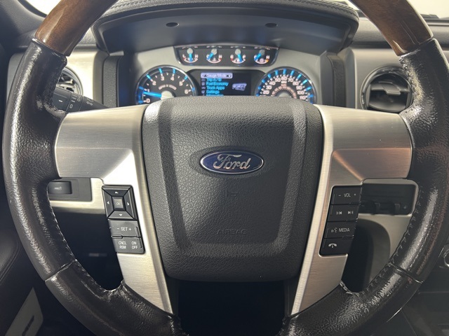 2013 Ford F-150 Platinum photo 12