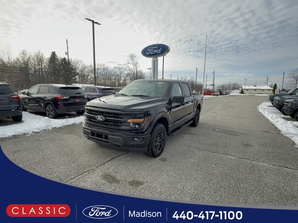 2025 Ford F-150 XLT's photo