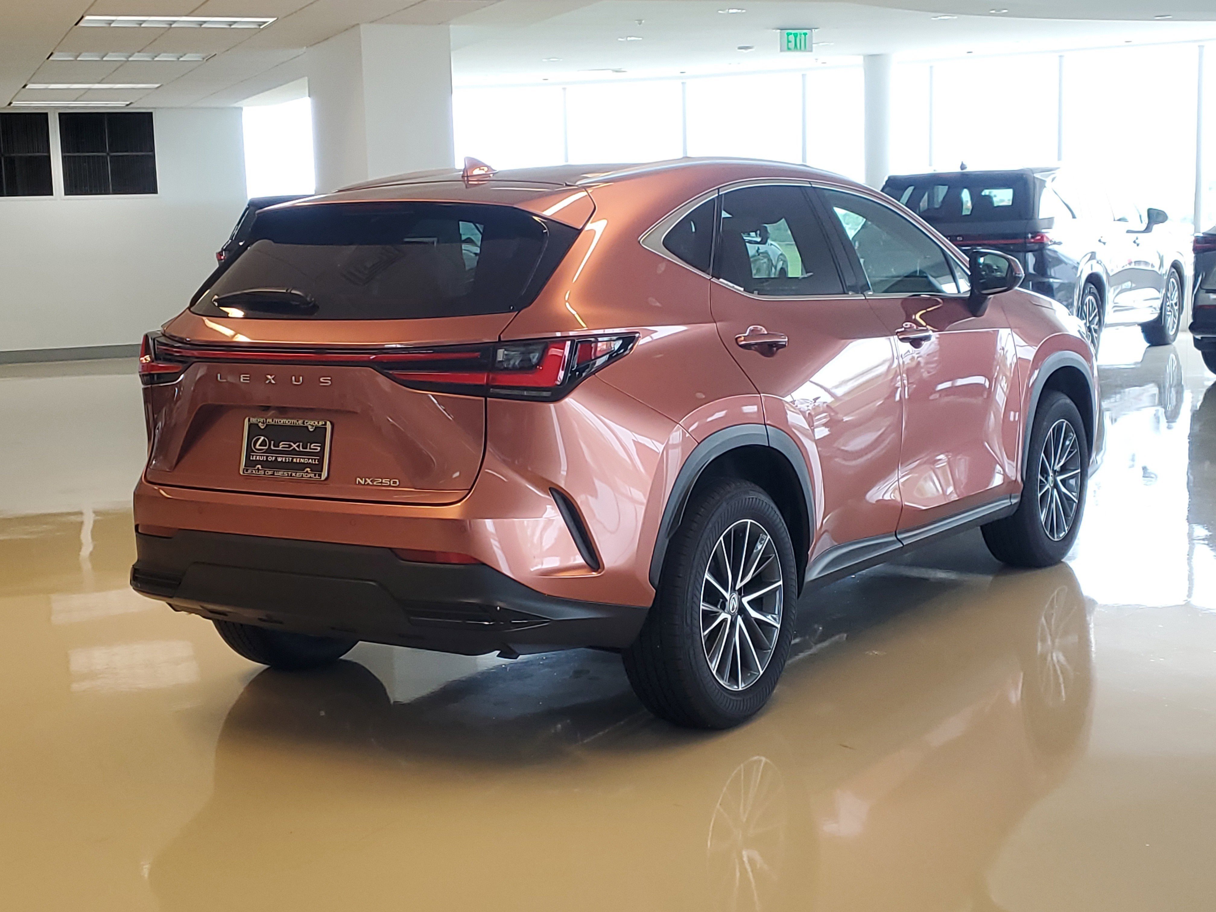 2025 Lexus NX 250 photo 10