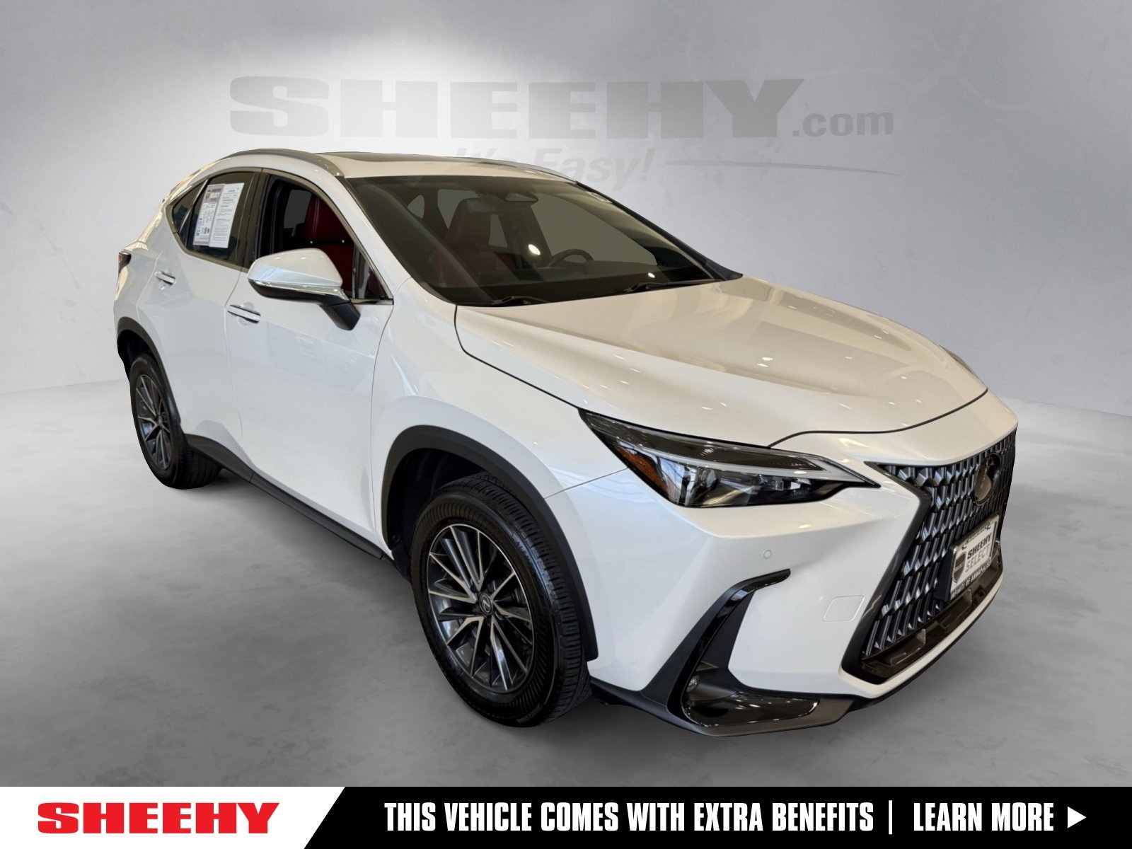 2024 Lexus NX 350's photo