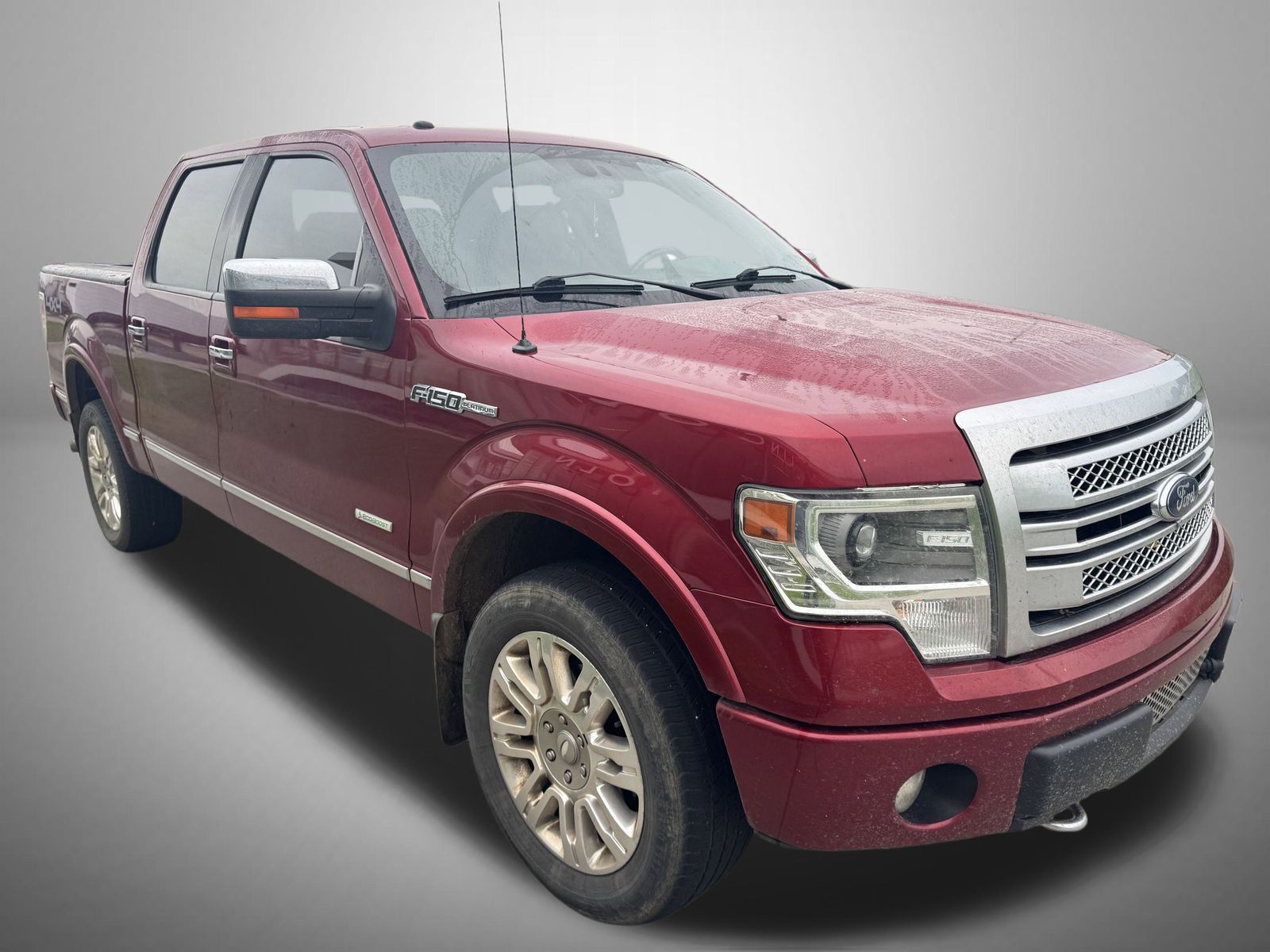 2013 Ford F-150 Platinum photo 2