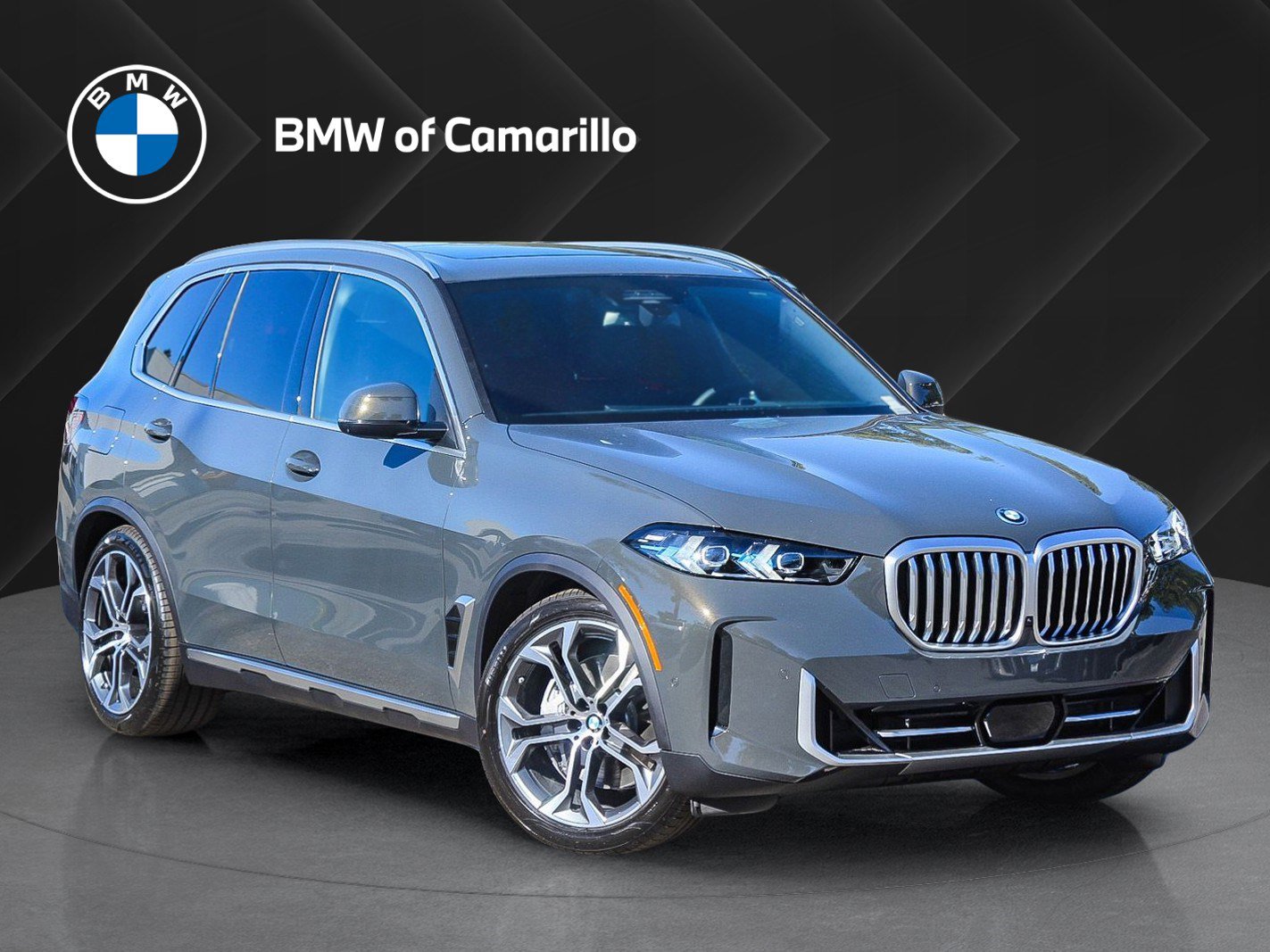 2026 BMW X5 50e's photo