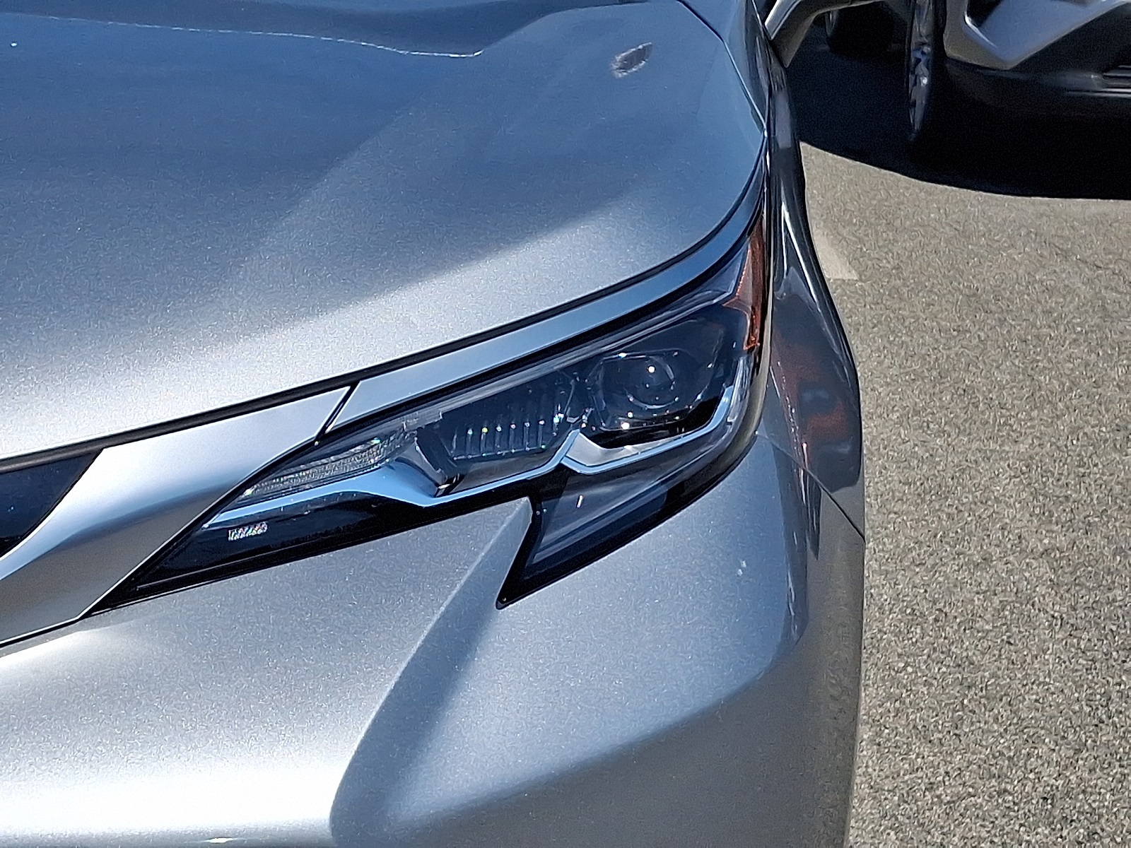 2024 Toyota Sienna Platinum photo 10