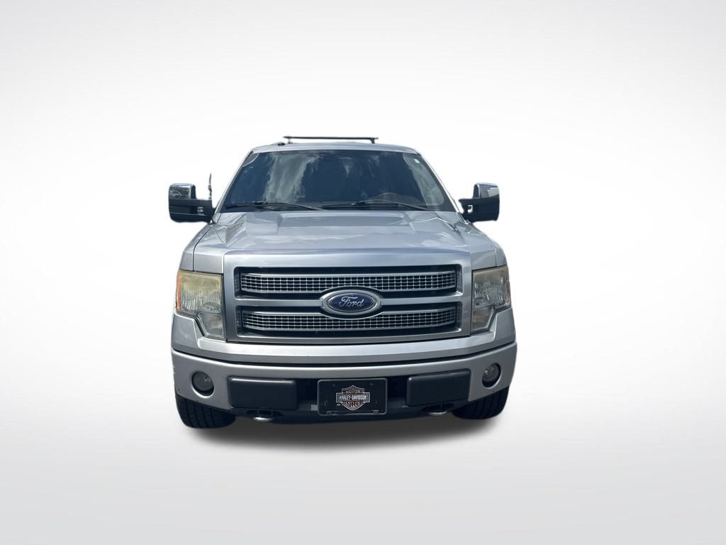 2010 Ford F-150 Platinum photo 2
