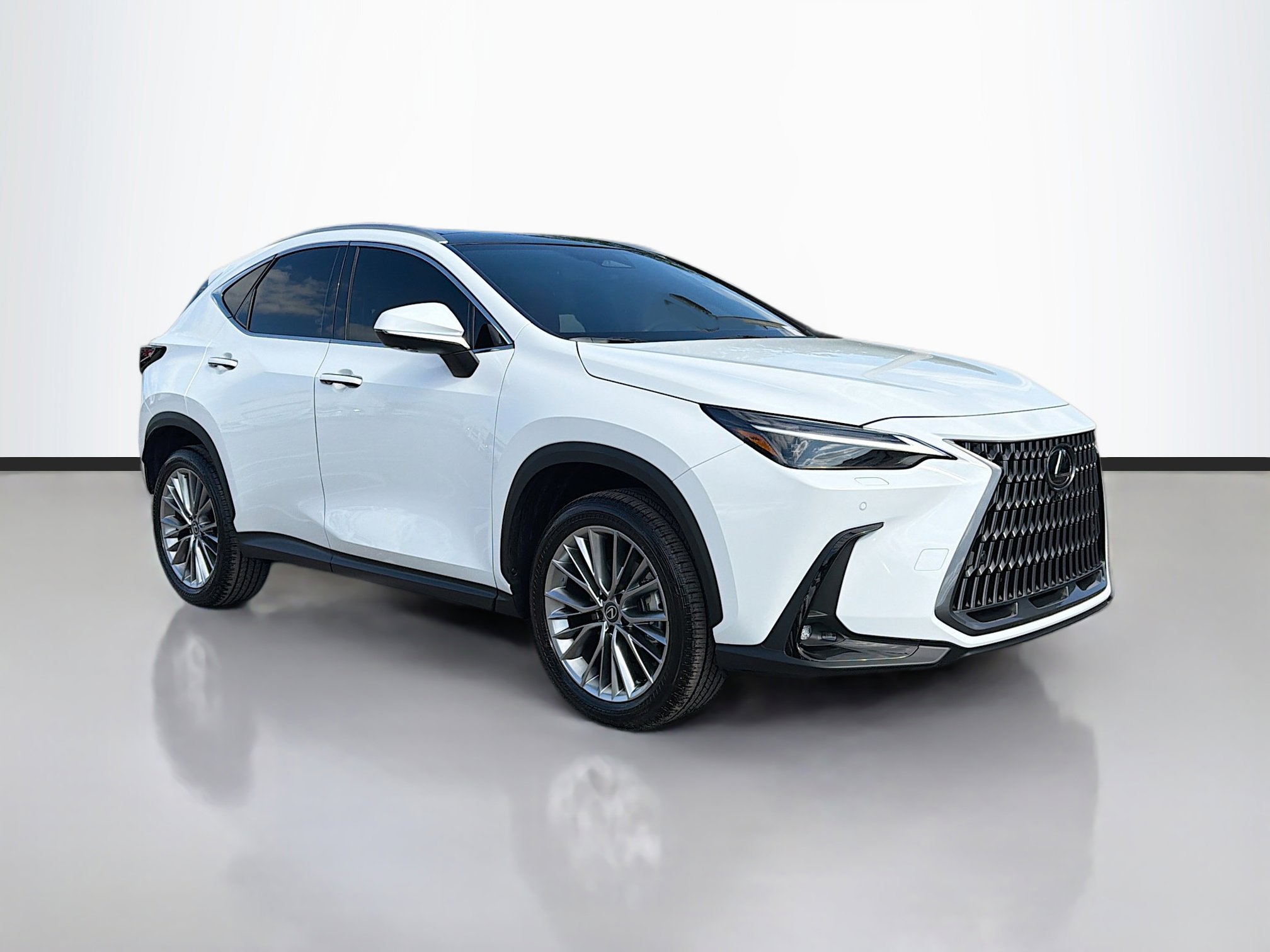2026 Lexus NX 350's photo